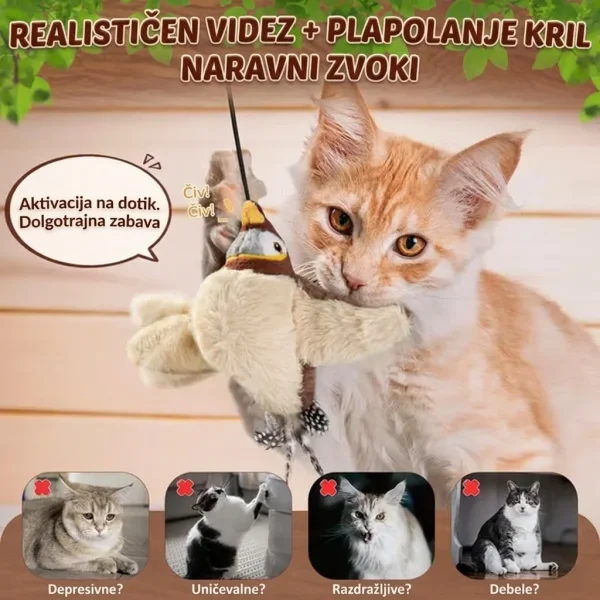 CHIRRCAT-3831127628906-SI-6__221225.webp