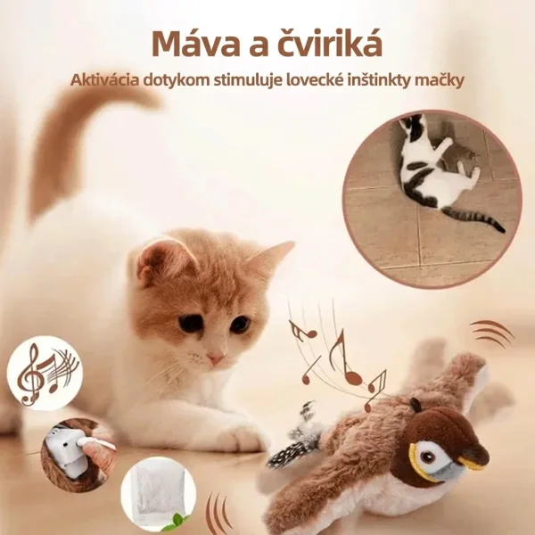 CHIRRCAT-3831127628906-SK-5__221225.webp