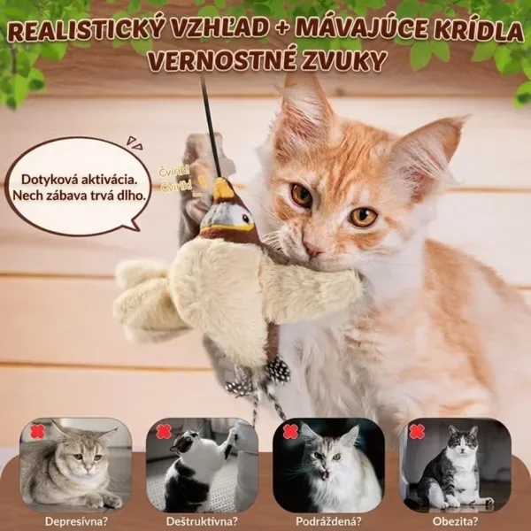 CHIRRCAT-3831127628906-SK-6__221225.webp