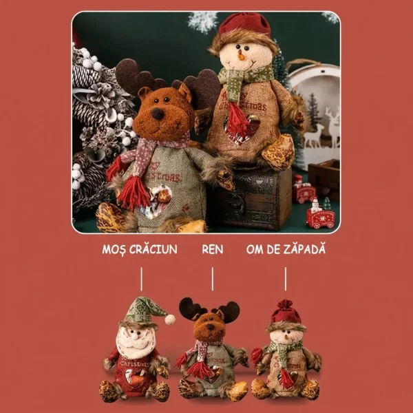 FESTIBAG-3831127625826-MD-3333__201125.webp