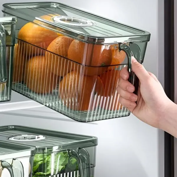 FRESHDISH-3831127549915-N-10__021026-b5573a69-1129-4270-8c55-c5d3803953ba.webp