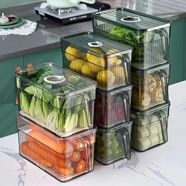 FRESHDISH-3831127549915-N-2__021026-e64e9b52-3359-457b-9e50-999ed0b86d44.webp