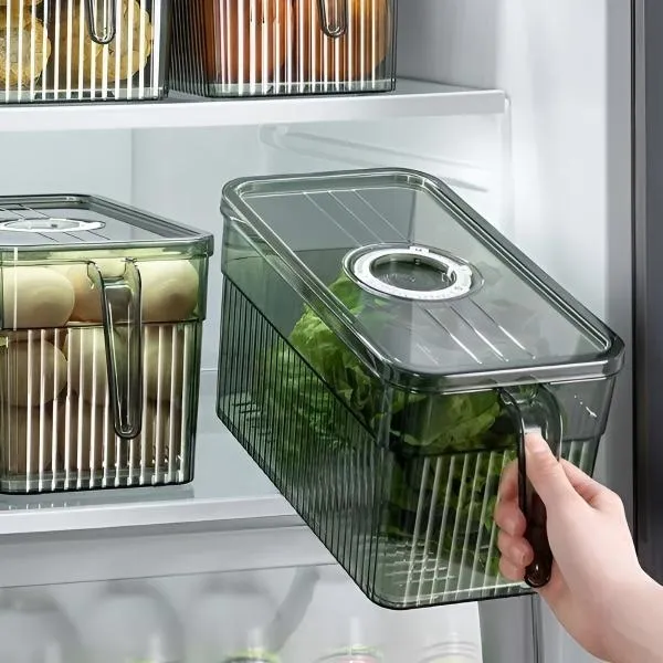 FRESHDISH-3831127549915-N-3__021026-a16b6b31-7c1b-4cc7-a89e-a1edd805cebe.webp