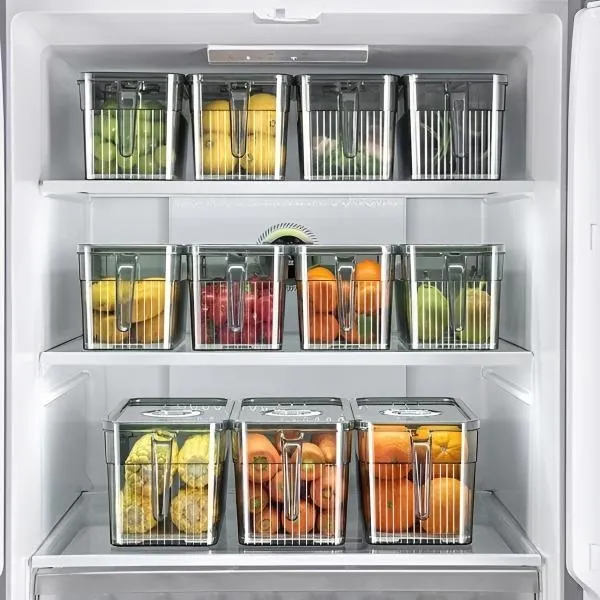 FRESHDISH-3831127549915-N-4__021026-9058638d-306e-4e3d-95e1-9809a011868a.webp