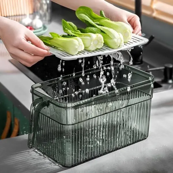 FRESHDISH-3831127549915-N-5__021026-f8126aed-8b04-4338-a800-b86e829edbbc.webp