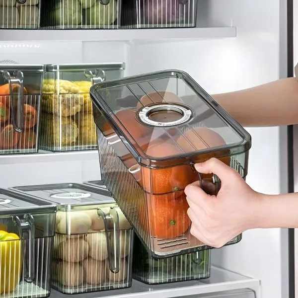 FRESHDISH-3831127549915-N-6__021026-e87c235e-4169-4276-a884-4c7ce5dbc09a.webp