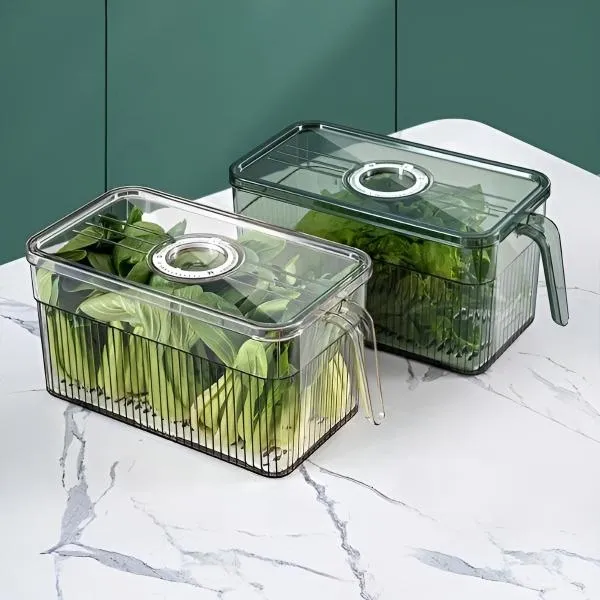 FRESHDISH-3831127549915-N-7__021026-03c0eca5-2d96-484a-a950-2337b671213f.webp