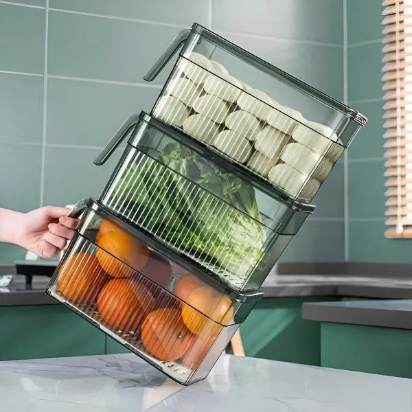 FRESHDISH-3831127549915-N-8__021026-e915bb95-7b53-4d6c-94ed-af87ff6b512f.webp