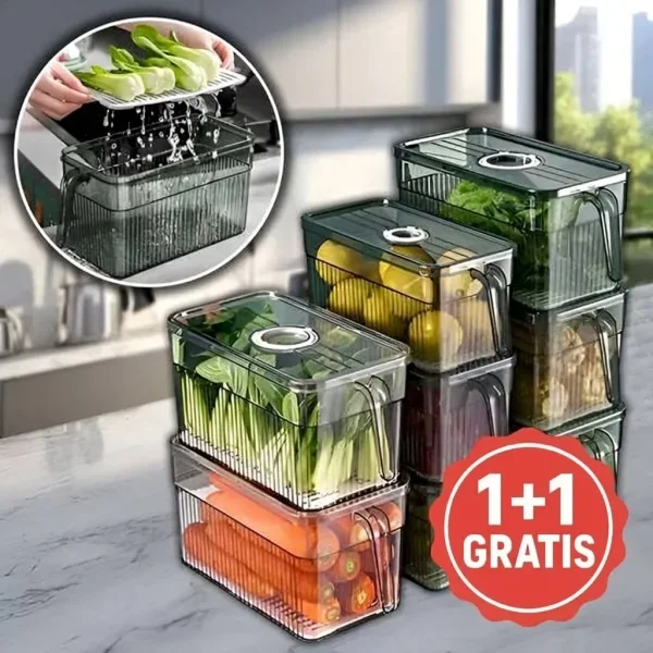 FRESHDISH-986519577-NL-1__100326.webp