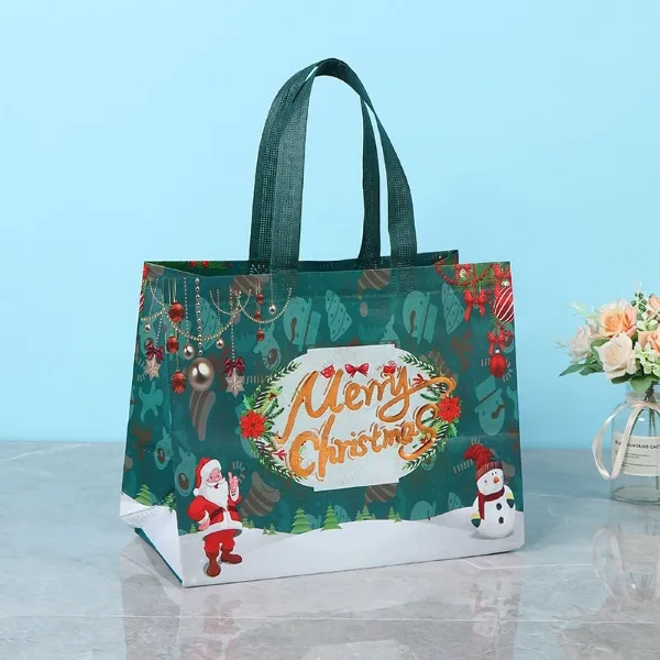 HOLIBAG-3831127627534-N-4__021225-6caed118-13e6-4748-853e-dbb22001eb33.webp