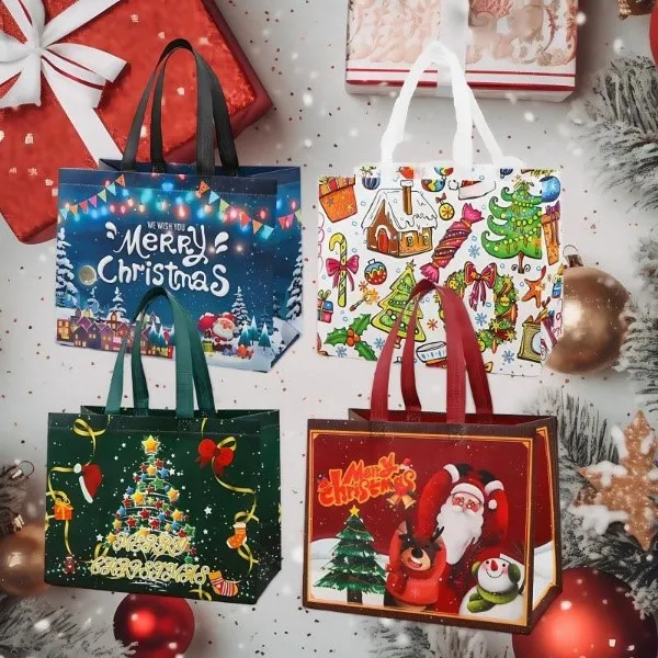HOLIBAG-3831127627534-N-5__021225-81a1b571-451f-4ff2-8e04-5c0997e6e2e4.webp