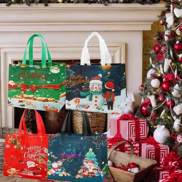HOLIBAG-3831127627534-N-6__021225-1775388c-b3c0-4f1b-be2e-da4a69e62257.webp