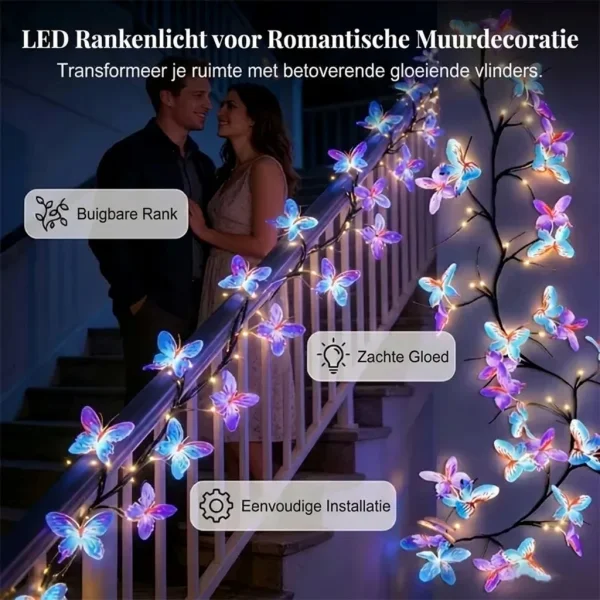 LUMIBLOOMY-3831127660190-NL-3__160726.webp