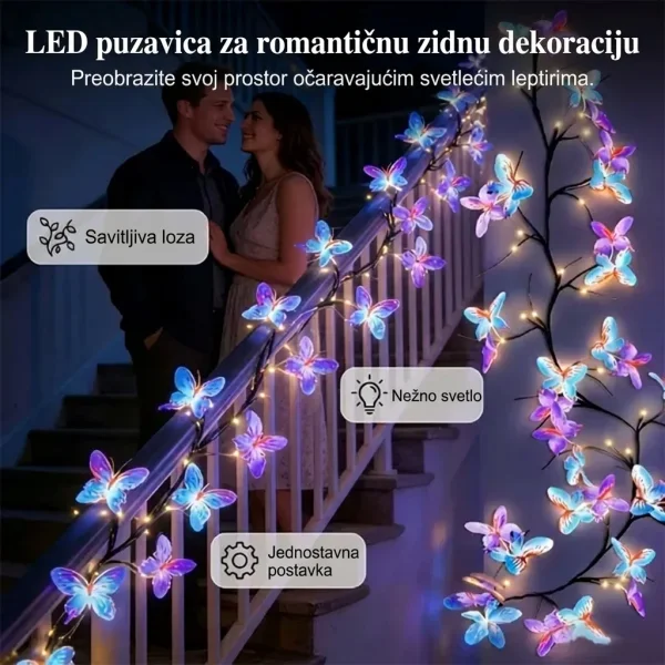 LUMIBLOOMY-3831127660190-RS-3__160726.webp