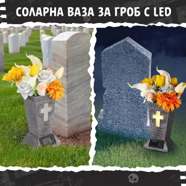 MEMOVAS-3831127650229-BG-3__200526.webp
