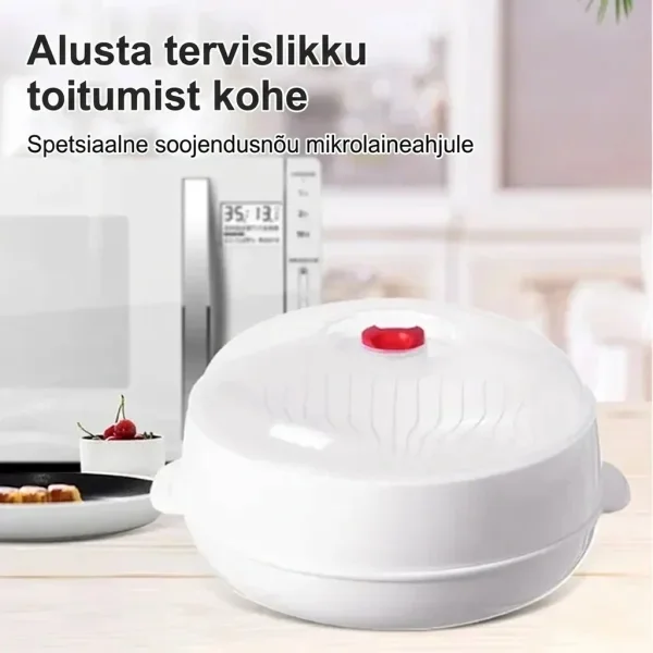 Mikrolaineahju auruti | MICSTEAM