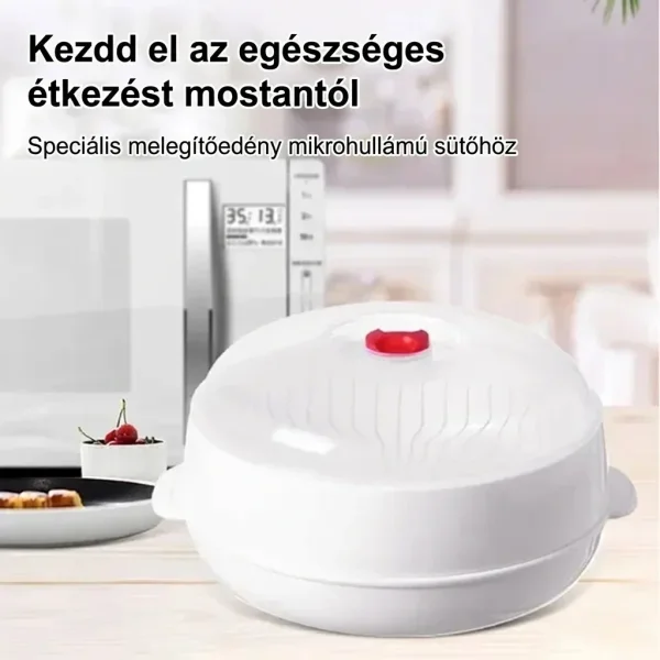 Mikrohullámú pároló | MICSTEAM