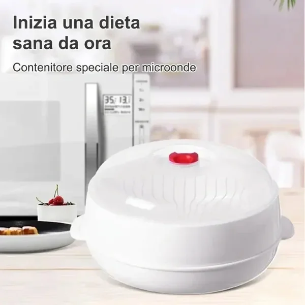 Microonde a vapore | MICSTEAM