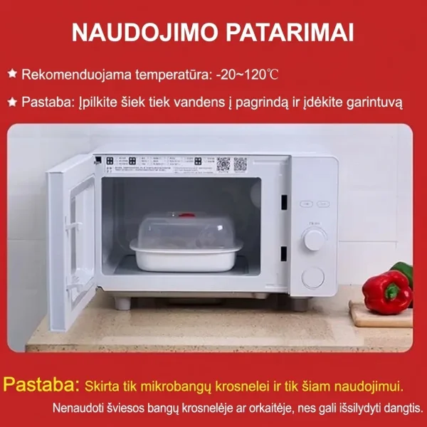 MICSTEAM-3831127639364-LT-10__180226.webp