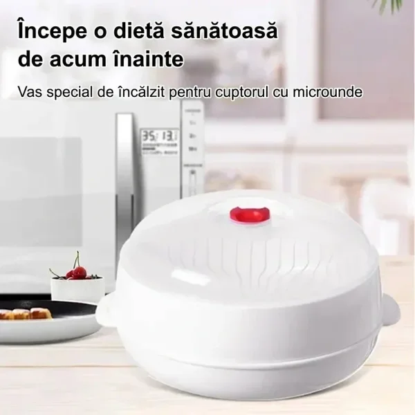 MICSTEAM-3831127639364-RO-1__180226.webp