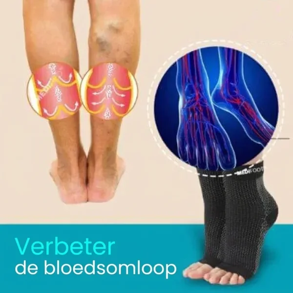 OPEDIA-514757163-NL-8__061026.webp