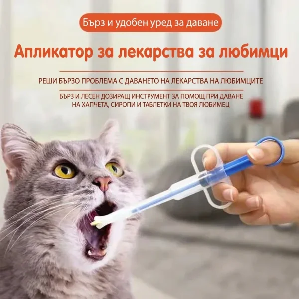 PAWDOSE-3831127668843-BG-2__090926.webp