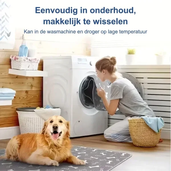 PAWSORB-3831127628143-BE-9__130526.webp