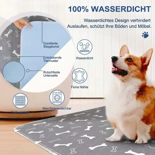 PAWSORB-3831127628143-DE-4__130526.webp