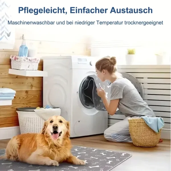 PAWSORB-3831127628143-DE-9__130526.webp