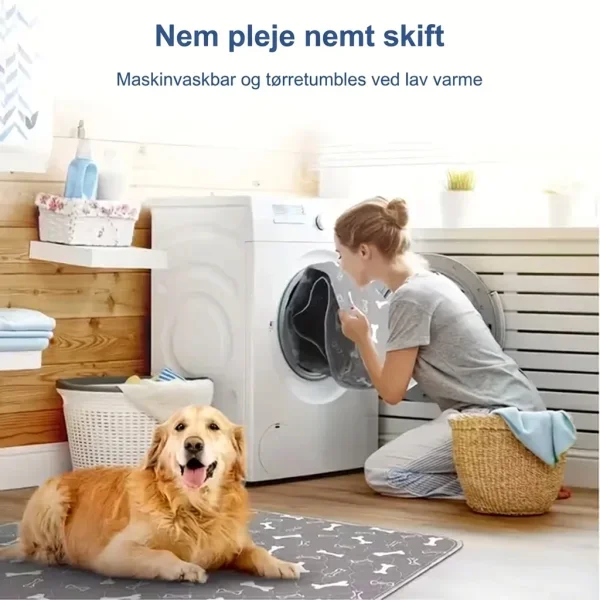 PAWSORB-3831127628143-DK-9__130526.webp