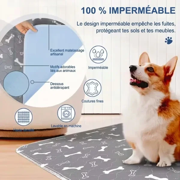 PAWSORB-3831127628143-FR-4__130526.webp