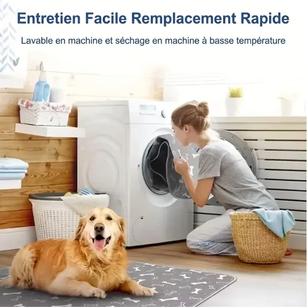 PAWSORB-3831127628143-FR-9__130526.webp