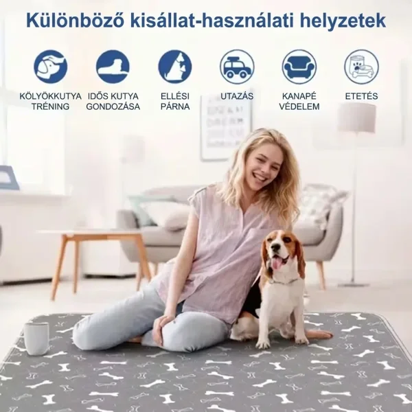 PAWSORB-3831127628143-HU-8__130526.webp
