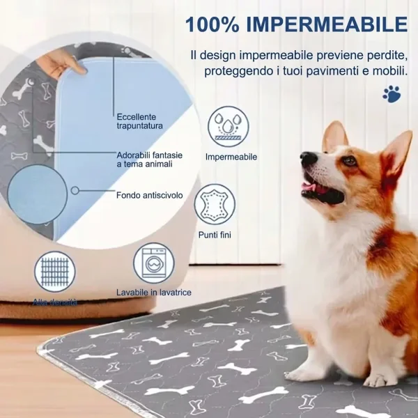 PAWSORB-3831127628143-IT-4__130526.webp
