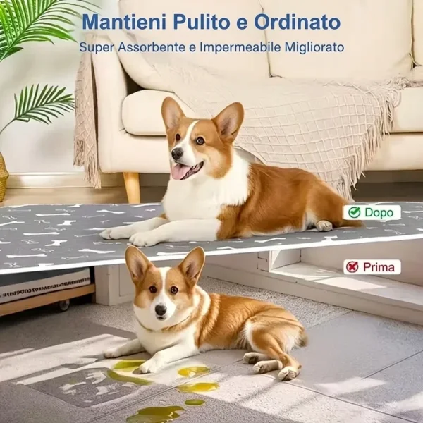 PAWSORB-3831127628143-IT-7__130526.webp