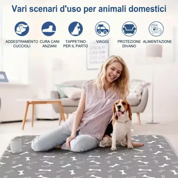 PAWSORB-3831127628143-IT-8__130526.webp