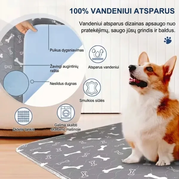 PAWSORB-3831127628143-LT-4__130526.webp