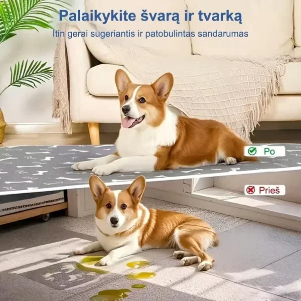 PAWSORB-3831127628143-LT-7__130526.webp