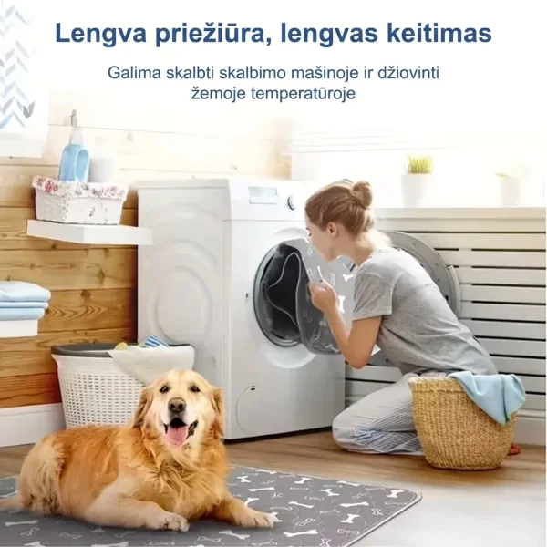 PAWSORB-3831127628143-LT-9__130526.webp