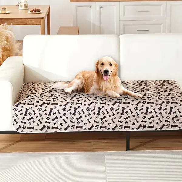 PAWSORB-3831127628143-N-8__130526-a7e601ae-d5f8-433f-a77a-d47411c0993a.webp