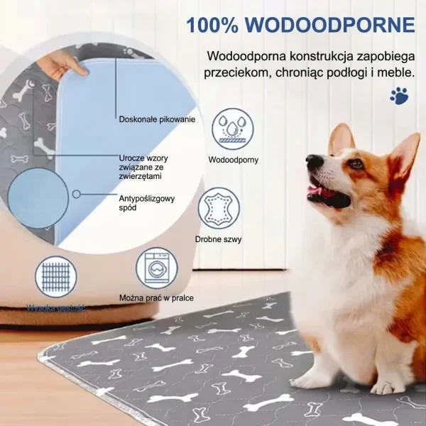 PAWSORB-3831127628143-PL-4__130526.webp