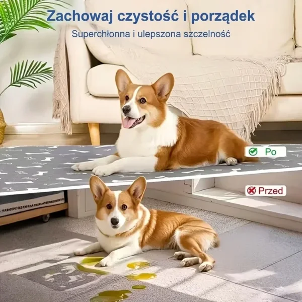 PAWSORB-3831127628143-PL-7__130526.webp