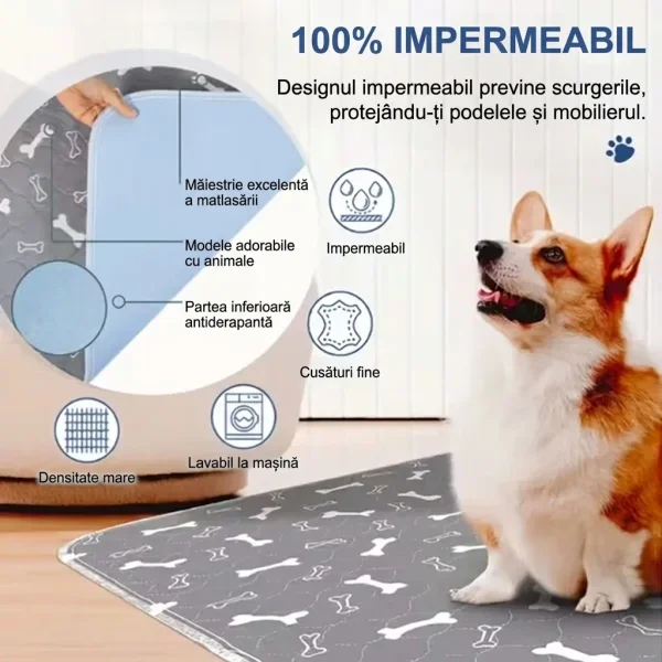 PAWSORB-3831127628143-RO-4__130526.webp