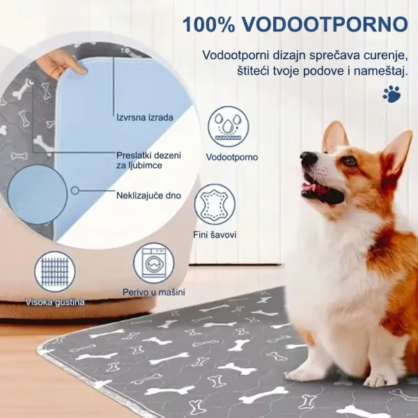 PAWSORB-3831127628143-RS-4__130526.webp