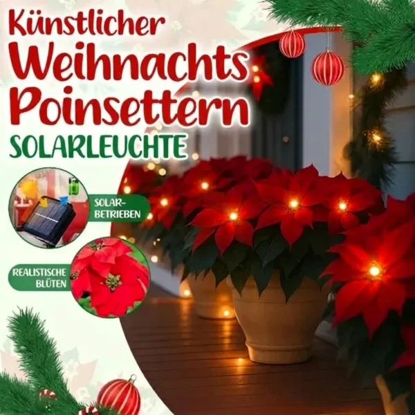 Solar-Weihnachtsstern-Licht | POINSETTIKA