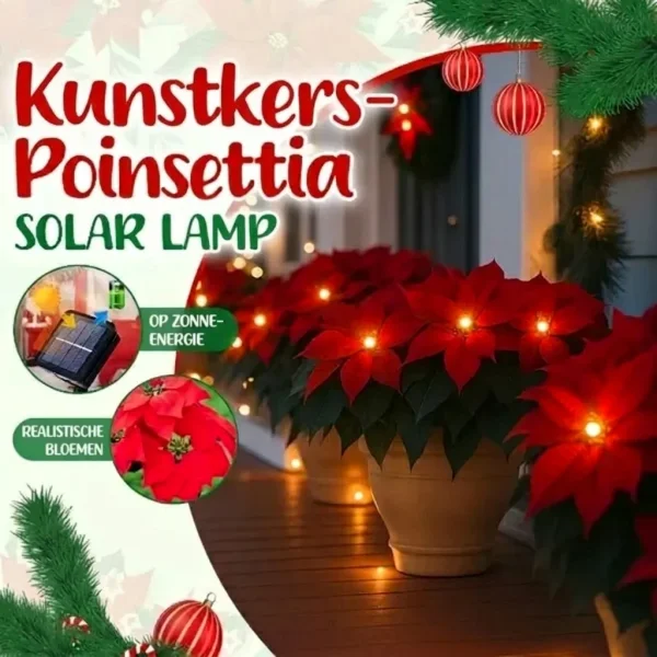 Zonne-kerststerlicht | POINSETTIKA