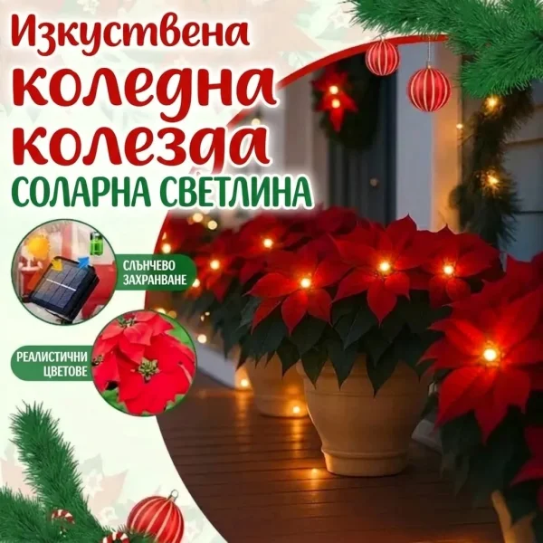 Соларна лампа поансетия | ПОАНСЕТИКА