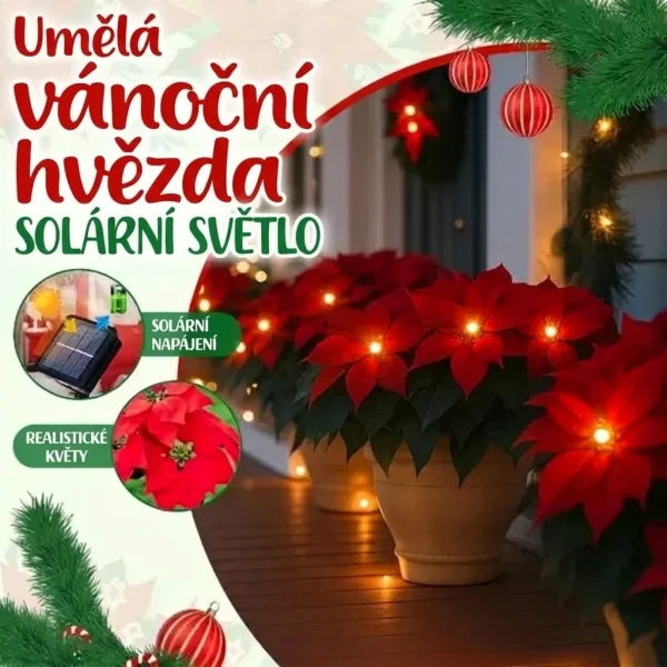 Solární světlo Poinsettia | POINSETTIKA