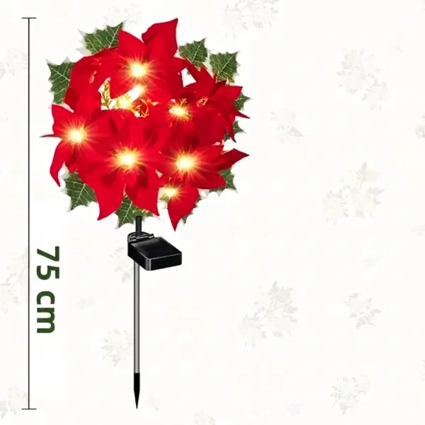 POINSETTIKA-3831127626204-CZ-55__091026.webp