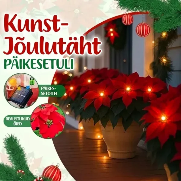 Päikese jõulutähe valgusti | POINSETTIKA